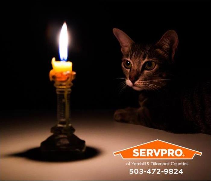 A curious cat edges closer to a lit candle. 