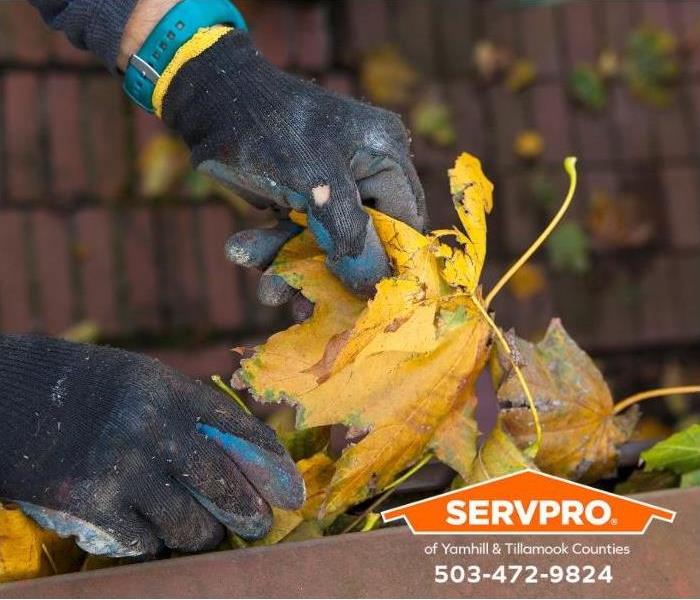 A person removes dead leaves and debris from a clogged rain gutter. 