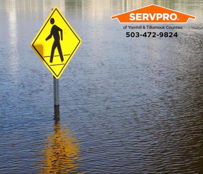 A pedestrian road crossing sign sits in four feet of flood water.